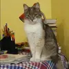 Отзыв от Альбина Федосеева